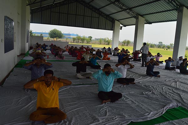 Yoga Day